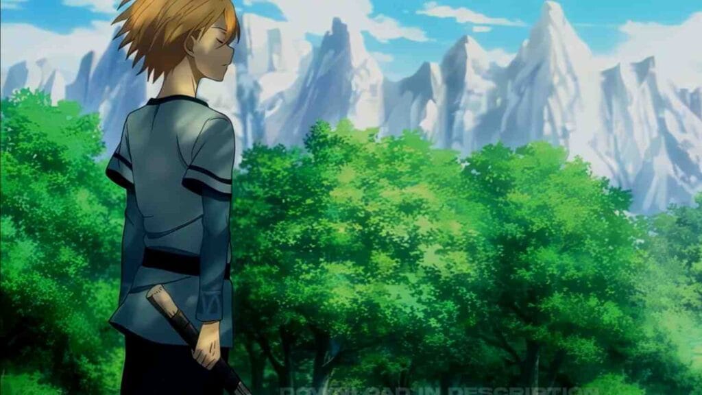 The world of Sword Art Online anime